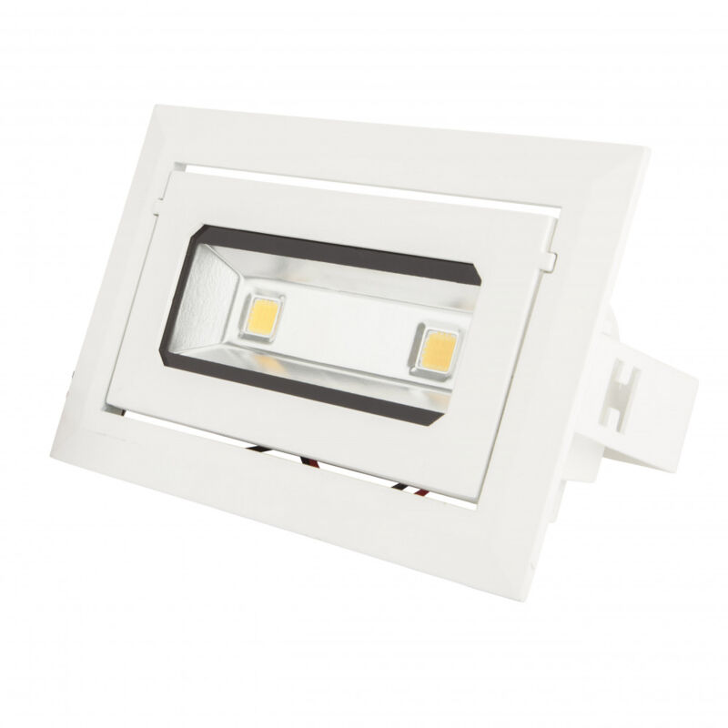 

Foco Downlight LED 20W 1.800Lm 6000ºK Rectangular Basculante 30.000H [HO-DRECTBAS-20W-CW] | Blanco Natural (HO-DRECTBAS-20W-CW)