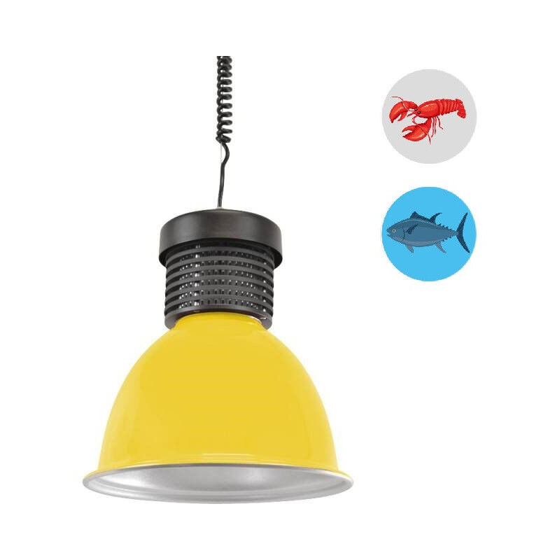 

Campana LED 30W especial para pescado y marisco | Amarillo