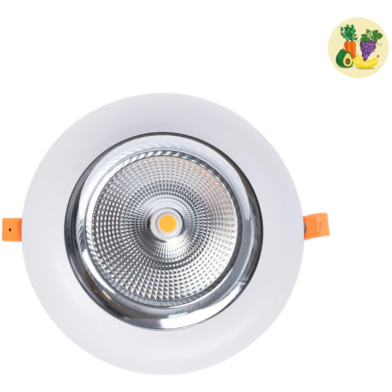

Barcelona Led - Focos LED empotrables 30W Especial para Fruterías y Verdulerías Ø 210 mm