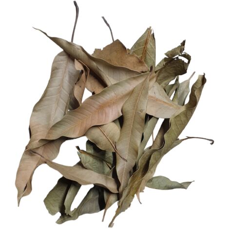 Foglie di mango bio-thailandesi 20 g