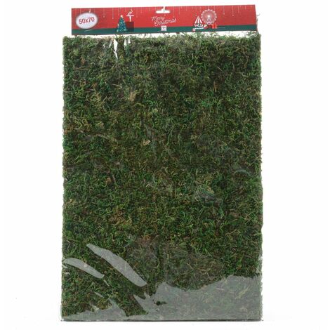 Foglio di Muschio da 50 x 70 cm per decorazioni e confezioni, ideale per presepe e villaggi