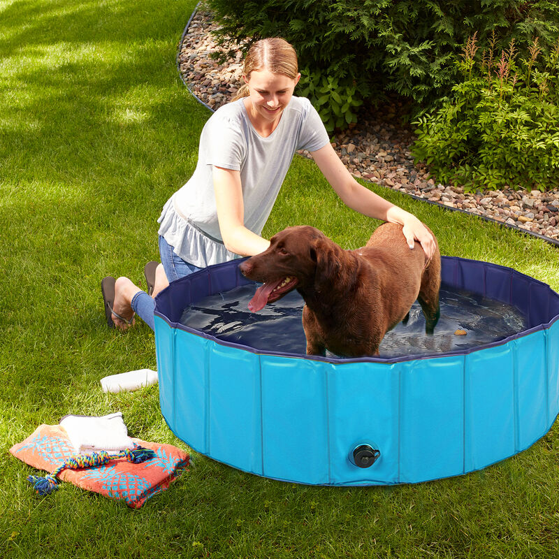 BingoPaw Foldable Dog Swimming Pool Pet Puppy Bath Tub Shower Indoor Outdoor, 120cm - Blue