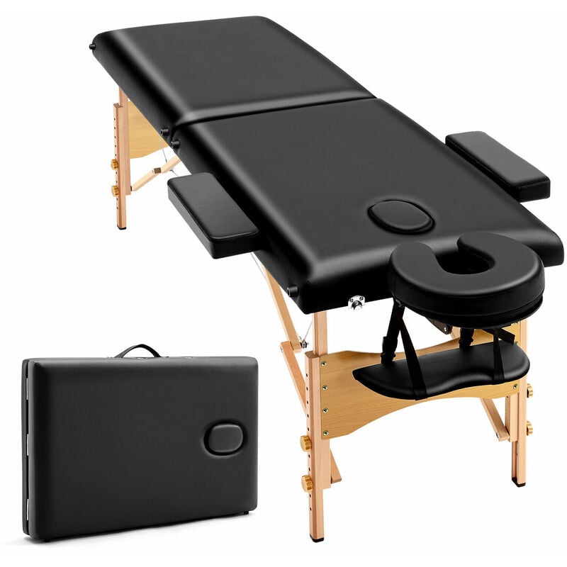 Day Plus - Folding Massage Table 2-Section Salon Beauty Salon Therapy Couch Healing Bed + Carry Bag