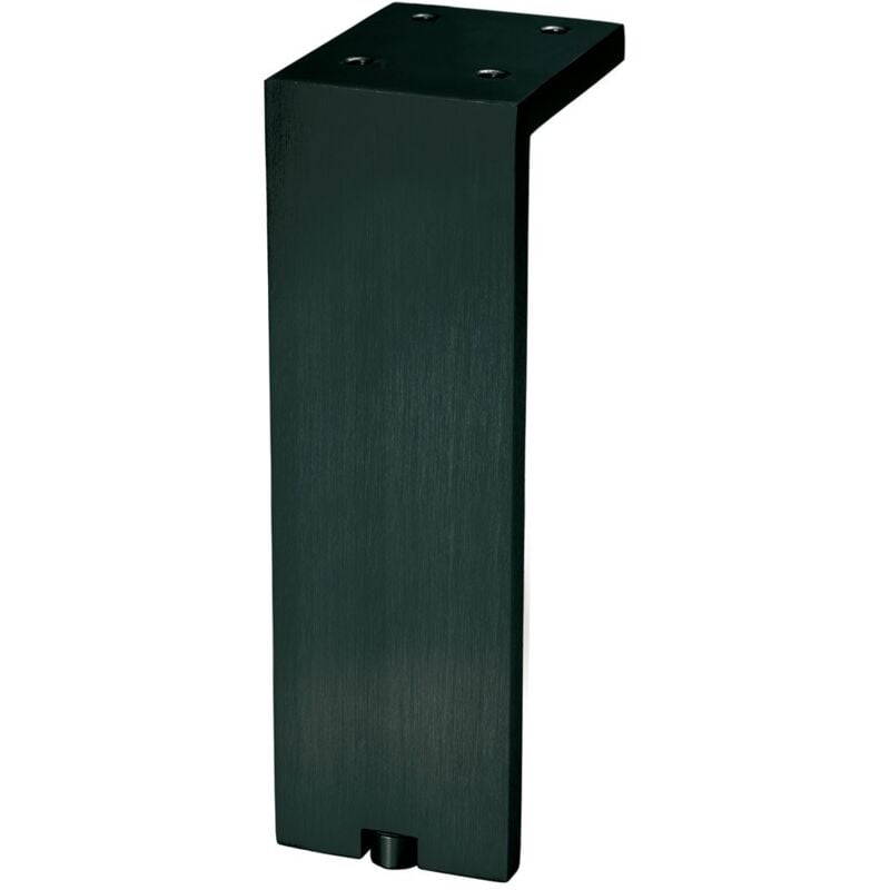 

Fonda - R/6005200L24 Pata Con Regulador Efecto Inox Mate 200 Mm - Efecto Inox Mate