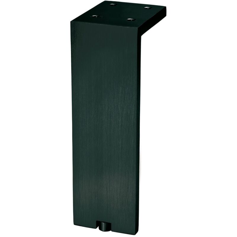 

Fonda - R/6005150L30 Pata Con Regulador Negro Cepillado 150 Mm - Negro Cepillado