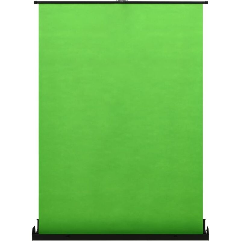 

vidaXL Fondo para fotografía verde 102' 4:3 - Verde