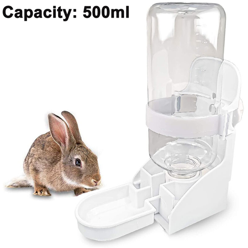 Fontaine à eau suspendue pour lapin, distributeur automatique d'eau sans fuite