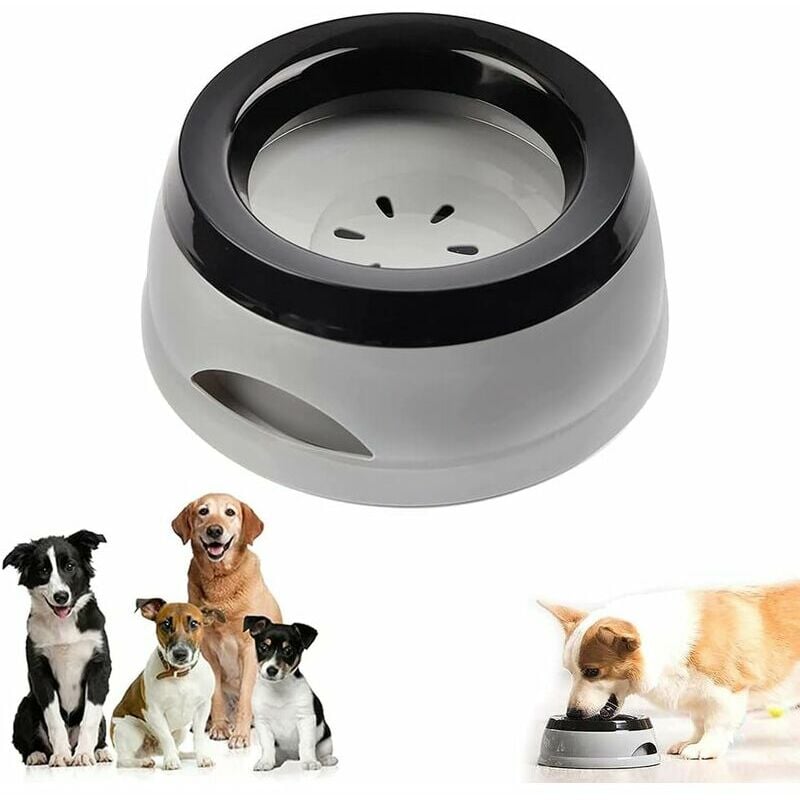 Ensoleille - Fontaine à boire pour chien bol d'eau pour chien anti-goutte bol pour chien de voyage bol pour chien anti-déversement bol pour chat et
