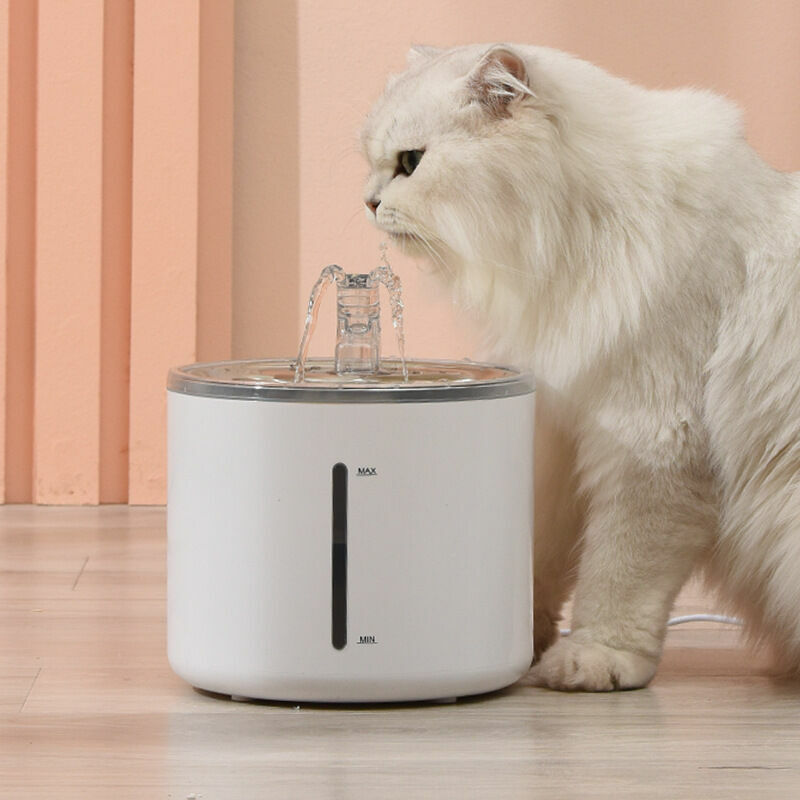 Fontaine à Eau pour Chat Automatique 2,6 L, Distributeur Eau pour Chat Chien Silencieux avec Filtre à Charbon Actif, Plateau en Acier Inoxydable 304