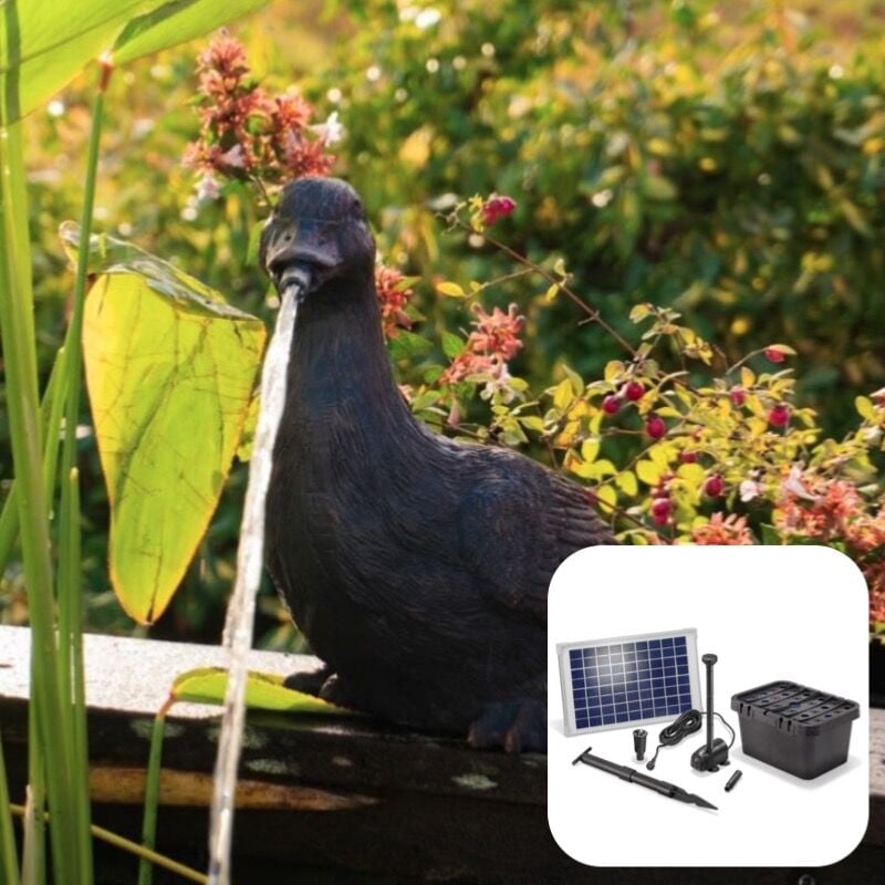 Fontaine solaire Canard 600 l/h maxi