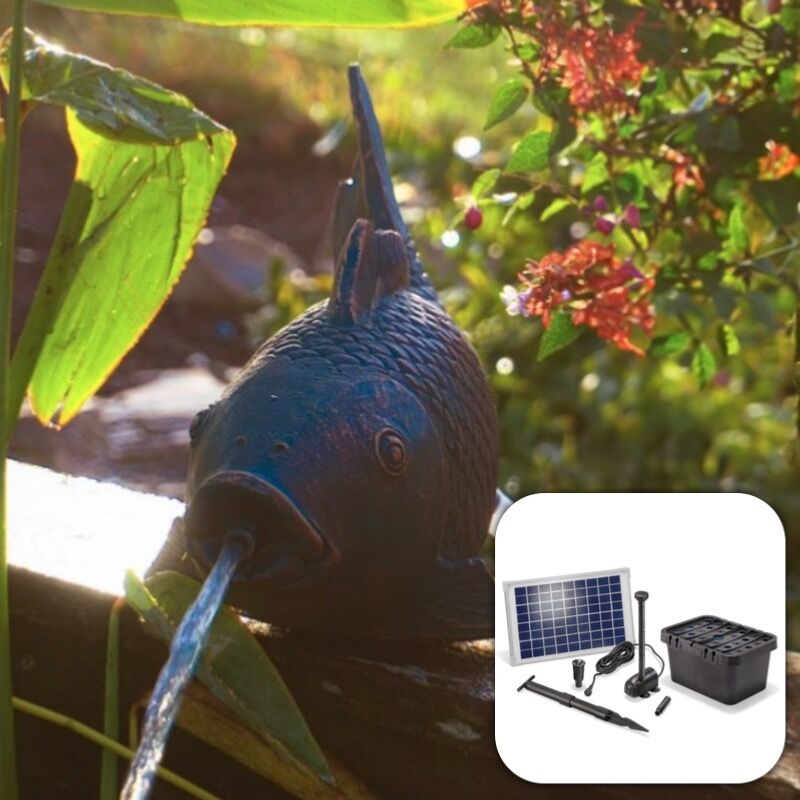Solairepratique - Fontaine solaire Poisson 600 l/h maxi