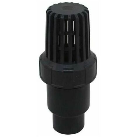 Foot valve non return valve with ball suction 20 25 32 40 50 63 75 90mm non return strainer valve non return pvc swimming pool pump (inner diameter 50mm) WHWY