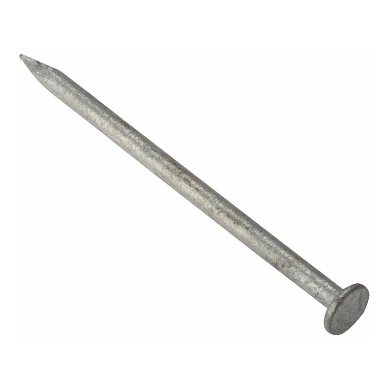 Round Head Nail Galvanised 40mm Bag of 500g FORRH40GB500