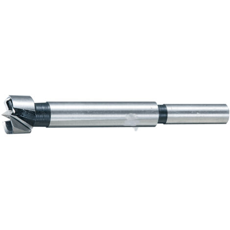 Foratrice forstner 10x90mm.