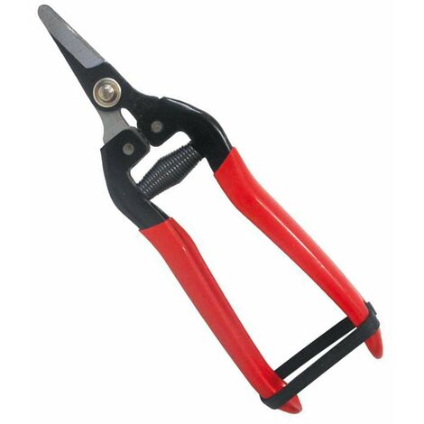 Forbice cogliuva per vendemmia con lama dritta da 16 cm