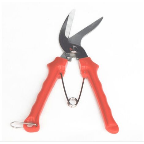 FORBICE FORBICI GIARDINAGGIO FIORI FRUTTI TAGLIA RAMI RAMETTI 8&quot LAMA CURVA 152