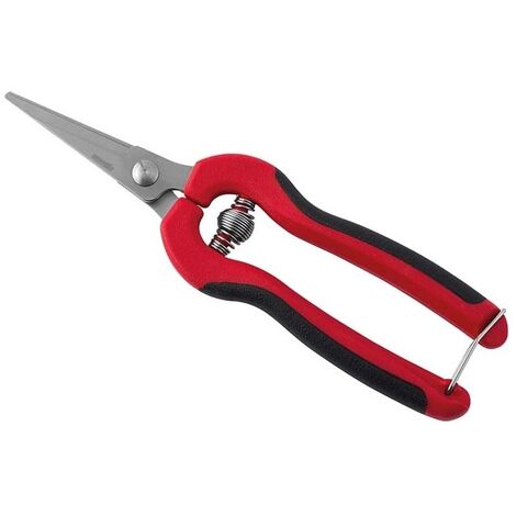 Forbice ideale per la vendemmia cogliuva 19 cm