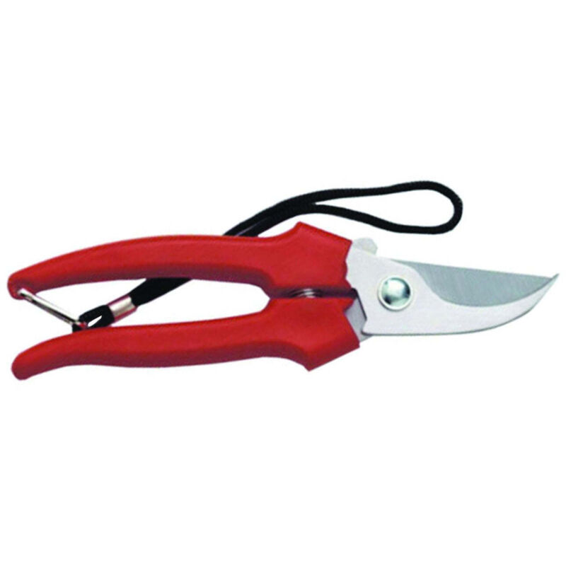 Forbice Raccolta E Giardino 35031 Cm.19