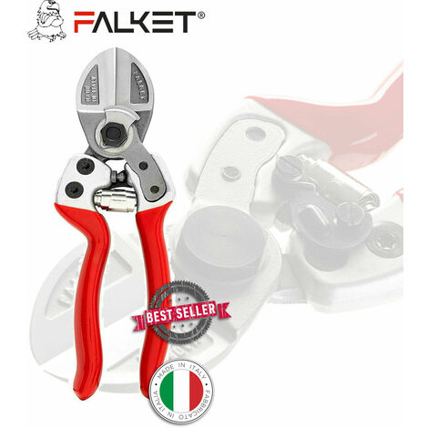 Falket forbici