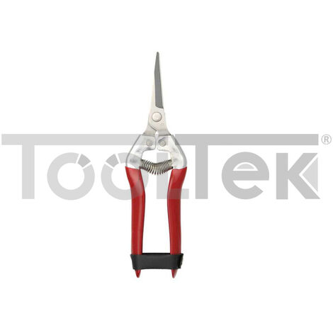 FORBICE PULISCI UVA COGLIUVA LAMA DRITTA 19cm ACCIAIO INOX