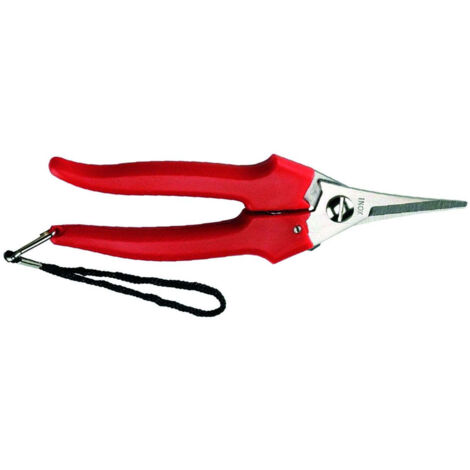 Forbice raccolta lama stretta 31329 - cm.19 - 12 bl