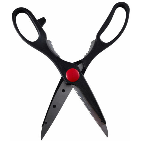 Forbici 21,5 cm Acciaio inossidabile Expert SG72816 San Ignacio