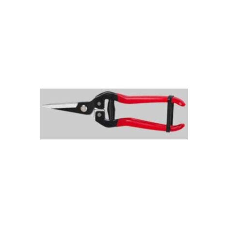 Forbici coglifrutta e ortaggi ideal star 19 cm