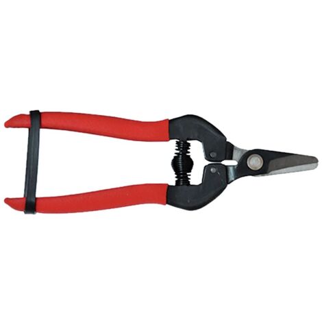 FORBICI COGLIUVA cm 16