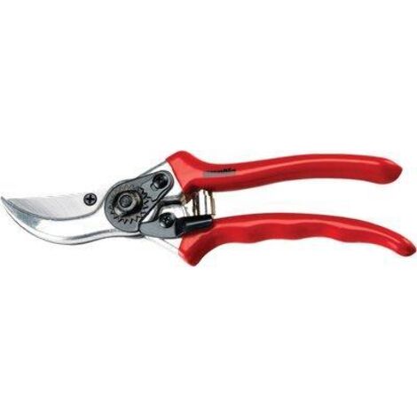 FORBICI DA POTA AUSONIA 21 cm
