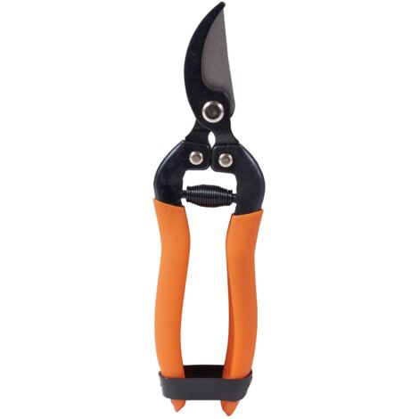 Forbici Ortofrutta Brixo Per Raccolta Uva Lama Bypass In Acciaio 18Cm.
