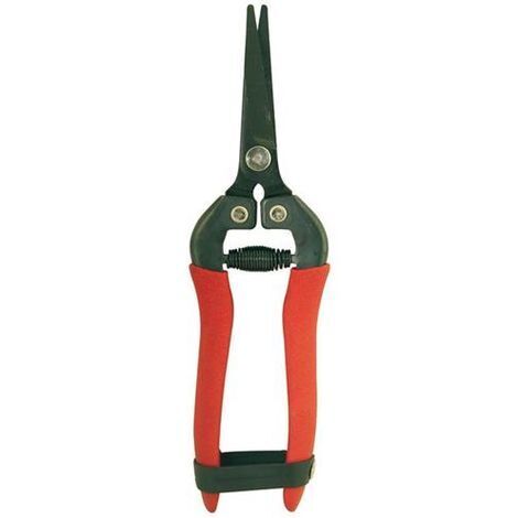 Forbici Ortofrutta Brixo Per Raccolta Uva Lama Curva In Acciaio 18Cm.