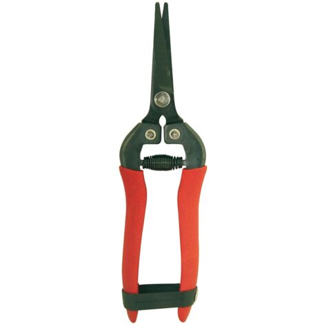 FORBICI ORTOFRUTTA COGLIUVA LAMA CURVA O LAMA RETTA CM.18 UTENSILI DA GIARDINO