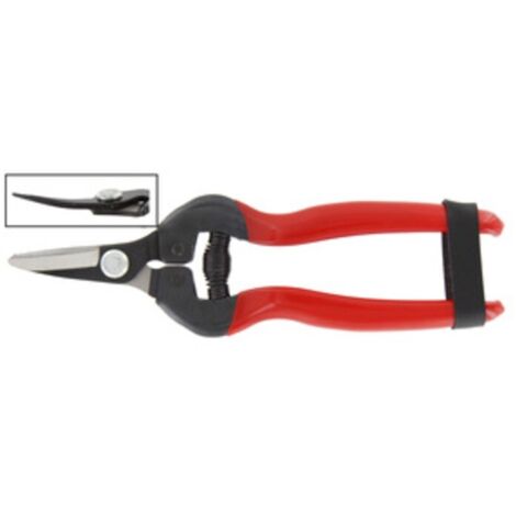 FORBICI P/UVA LAME CURVE PROF
