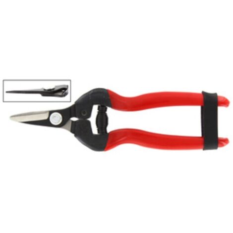 FORBICI P/UVA LAME DRITTE CORTE