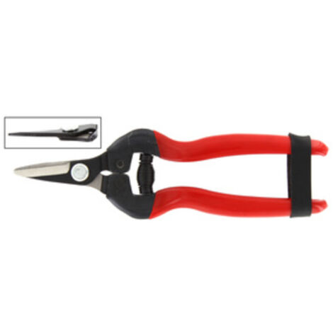 FORBICI PER UVA LAME DRITTE CORTE RIF.21095