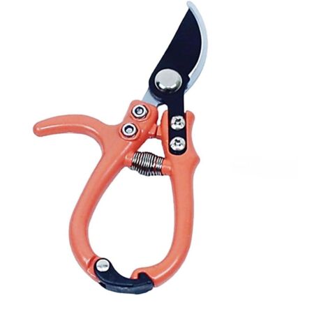 Forbici Potatura Cesoia Lama Curva 16CM Di Precisione Ergonomica Acciaio