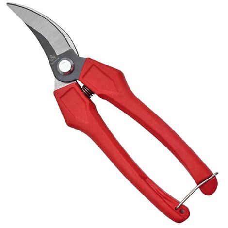 FORBICI VENDEMMIA COGLIUVA 18cm CURVA POTA UVA FRUTTA AUSONIA