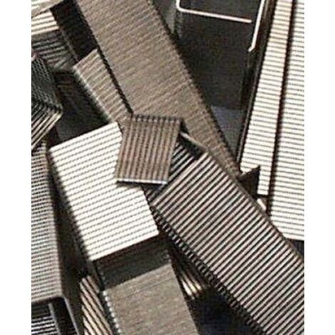 FORCE HOMME, 1000 AGRAFES, 10 MM, 3022