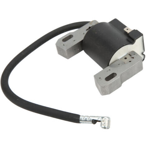 FOREHILL Module de bobine d'allumage du moteur 590454 692605 790817 Performances stables pour tondeuse à gazon BS