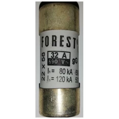 Forest Fusible 32A 22,2x58mm avec percuteur
