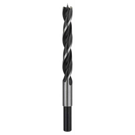 Foret hélicoïdal pour bois Ø 110 mm- L- 150 mm  BOSCH 2609255208