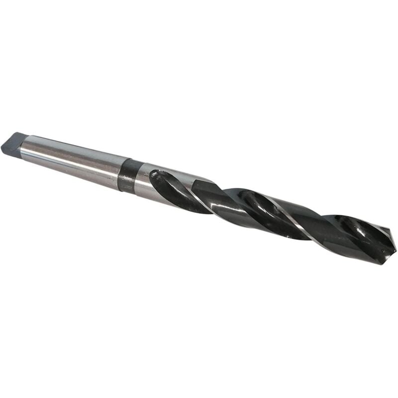 Oc-pro - Forets cone morse - conemorse : foret de 22