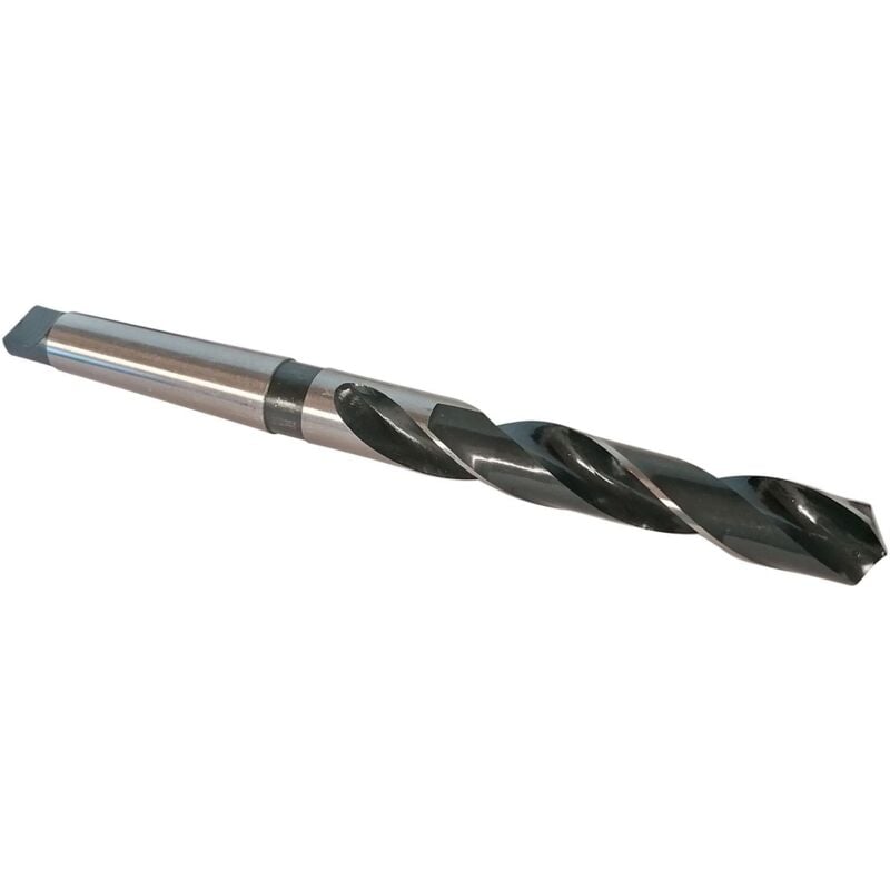 Forets cone morse - conemorse : foret de 24