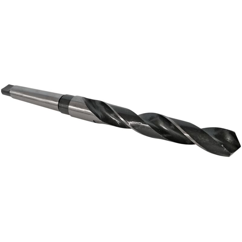 Oc-pro - Forets cone morse - conemorse : foret de 31