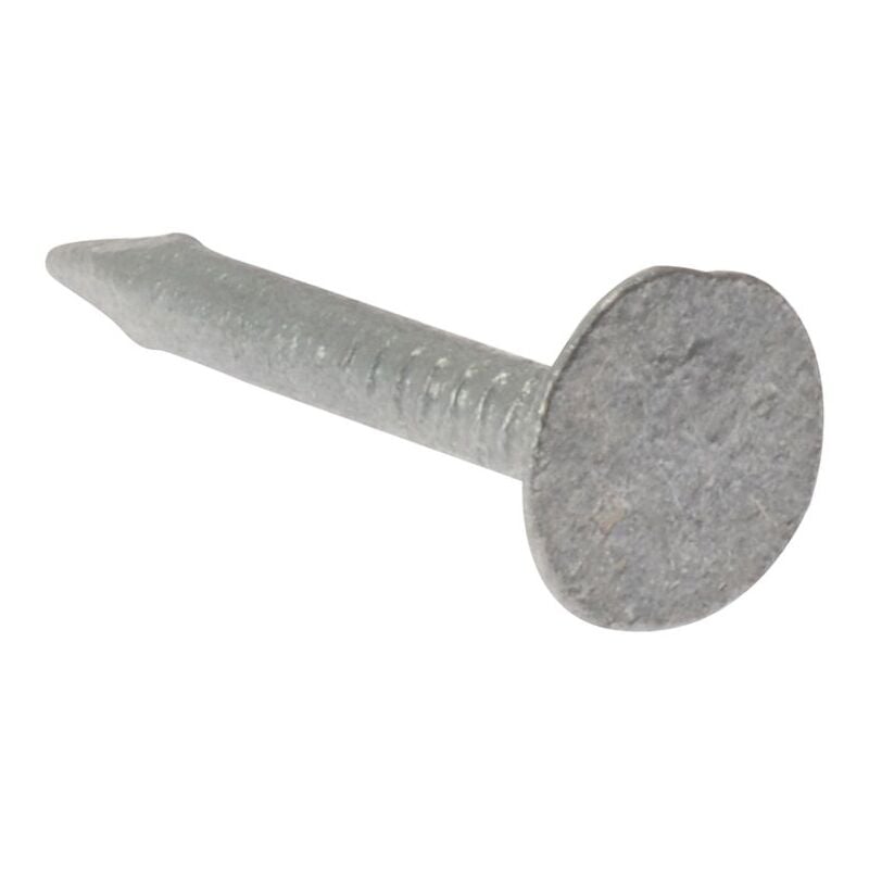 Forgefix - Clout Nail Extra Large Head Galvanised 25mm (500g Bag) FORELH25GB50