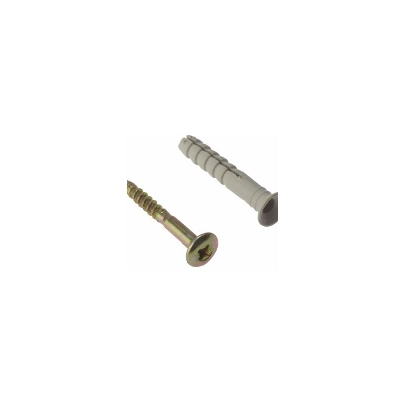 Forgefix - Hammer Fixing & Plug M6 x 40mm Bag 10 FORHF640G