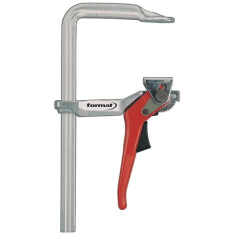 FORMAT Ganzstahl-Hebelzwinge 120x60mm