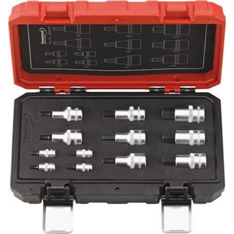 FORMAT Schraubendreher Einsatz Garnitur 1/4" + 1/2"