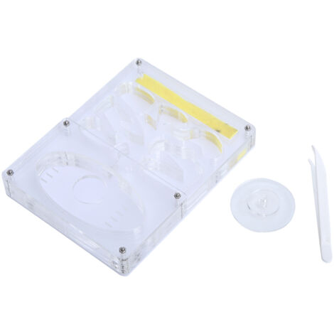 Formicarium en Acrylic Transparent 3D pour Fourmis - Nid d'Insectes avec Système d'Alimentation