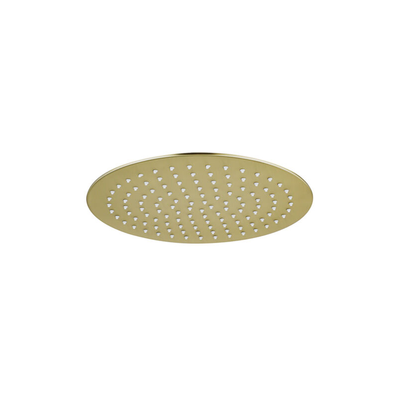 Calvi Pommeau de douche 25cm rond 6mm Laiton brossé - Fortifura
